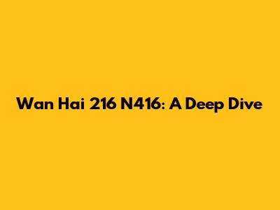 Wan Hai 216 N416: A Deep Dive