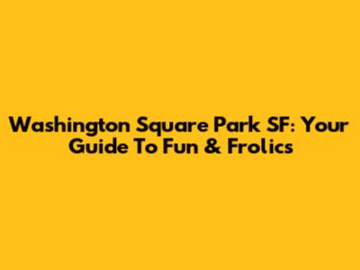 Washington Square Park SF: Your Guide To Fun & Frolics