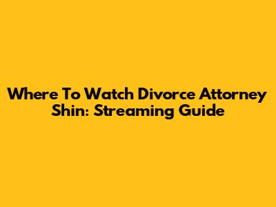Where To Watch Divorce Attorney Shin: Streaming Guide