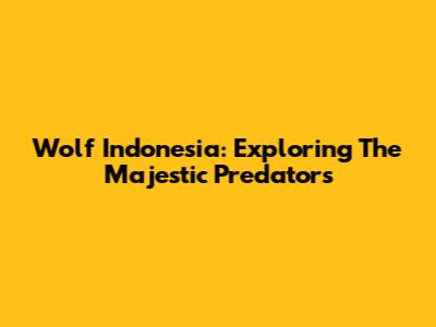 Wolf Indonesia: Exploring The Majestic Predators