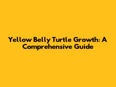 Yellow Belly Turtle Growth: A Comprehensive Guide