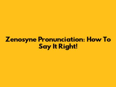 Zenosyne Pronunciation: How To Say It Right!
