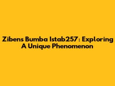 Zibens Bumba Istab257: Exploring A Unique Phenomenon