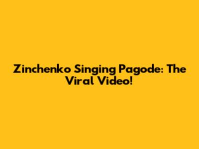 Zinchenko Singing Pagode: The Viral Video!